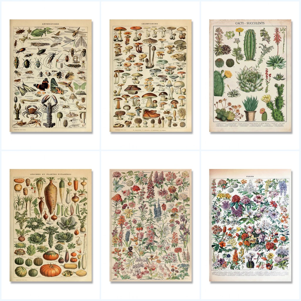 Vintage Adolphe Millot Encyclo - Home Decor Aesthetic Pinterest ulasan dan harga