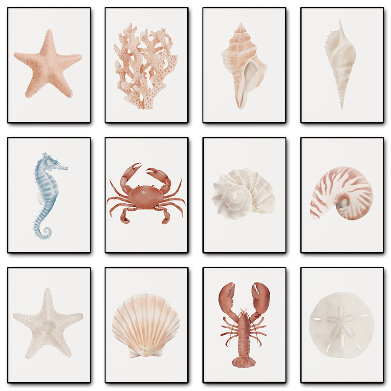 Beach Coastal Conch Shell Crab - Sand Art Picture ulasan dan harga